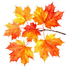 Obraz premium Autumnal Leaf Art: A vivid illustration showcasing a collection of vibrant, autumnal maple leaves. Each leaf bursts with fiery hues of orange and red, artfully arranged on a slender branch.