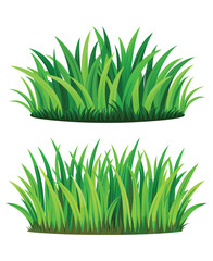 Green grass vector illustration for lawn garden design elements and spring season art

