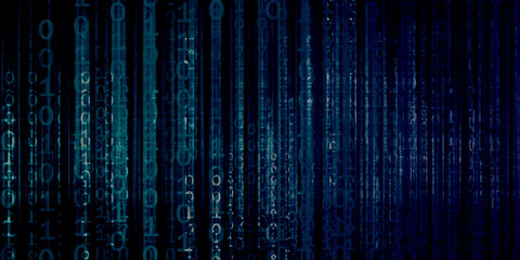 Information Network