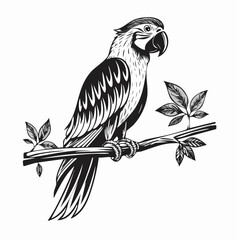 parrot on a branch © 3okaad_Vectors