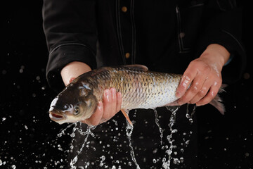Fresh Grass Carp Fish from Anhui Shankeng Region - Traditional Chinese Cuisine Preparation with Water Splash