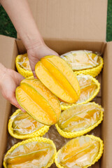 Fresh Yellow Tropical Fruits in Box - Hand Selecting Organic Produce