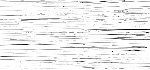 Tree bark texture