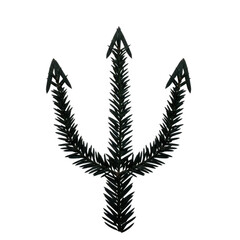 Pine branch isolated on transparent background