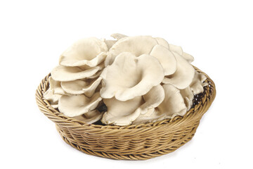 Fresh Oyster Mushrooms in Wicker Basket - Healthy Organic Vegetables for Cooking