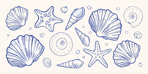Collection of hand drawn blue line art seashells and starfish on a light background