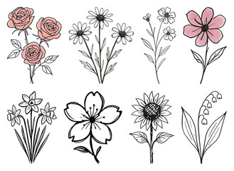 PNG Hand-drawn floral vector illustrations, element set on transparent background