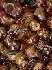 Spicy Cooked Whelk Sea Snails in Traditional Asian Sauce - Fresh Seafood Delicacy