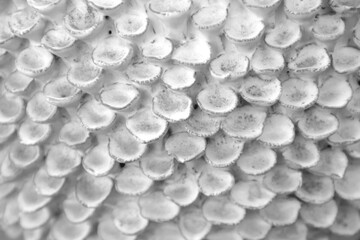 Embossed seamless patterns abstract grey white background