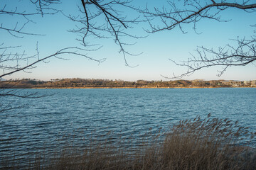 Birch-Framed Yeongrang Lake with Seoraksan Mountains, Sokcho, South Korea