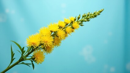 A vibrant cluster of bright yellow flowers against a soft, light teal sky background.