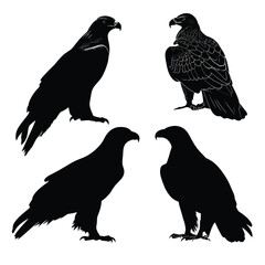 Fototapeta premium Set of golden eagle silhouettes in various poses isolated on white background