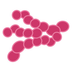 Peptococcus Bacteria