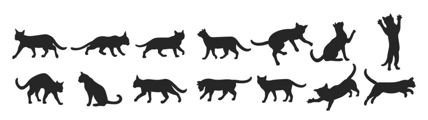 cat silhouette miuw cat vector illustration