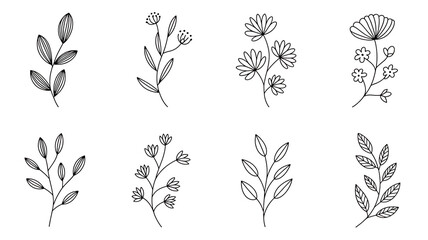 Collection of eight stylized dark leafy branches for decorative design elements isolated on transparent background