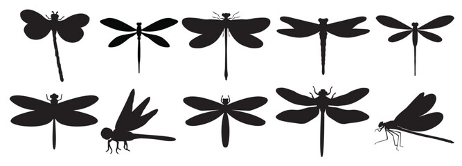 dragonfly silhouette on white background vector