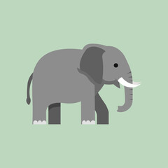 Flat Vector Illustration of Elephant
