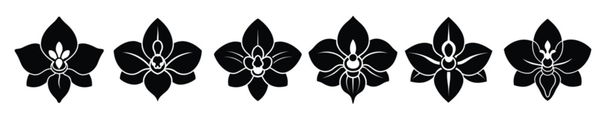 Elegant black and white orchid flower icons