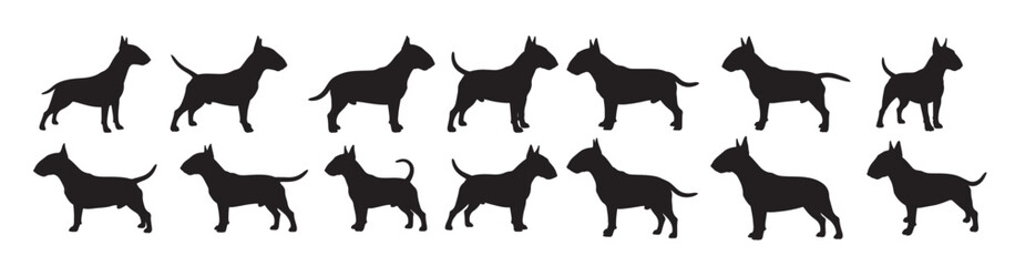 bull terrier dogs silhouette vector illustration