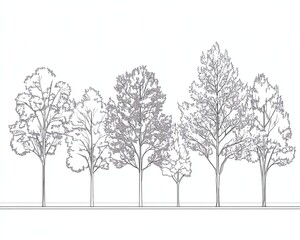Architectural Drawings, Minimal style cad tree line drawing, Side view, set of section wetland forest outline for landscape design drawing Vector illustration in seperate element