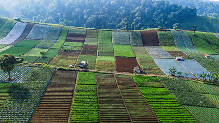 Patchwork farmland with colorful crop fields, perfect for sustainable farming, eco living, and agriculture.