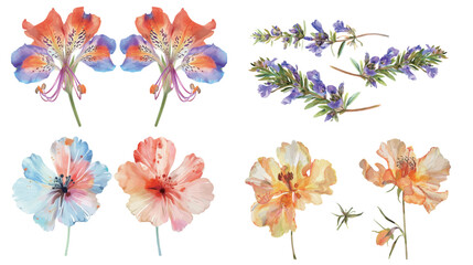 Lechenaultia flower watercolor poster with vibrant blue petals, delicate botanical illustration for home decor or art print