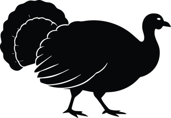 turkey thanksgiving farm icon vector, holiday bird symbol illustration
