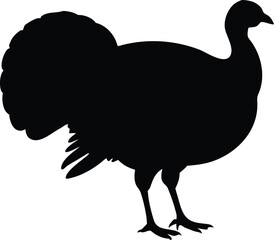 turkey wild fowl silhouette vector, autumn harvest icon illustration
