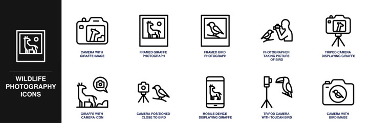 Obraz premium Wildlife Photography Line Icon Set