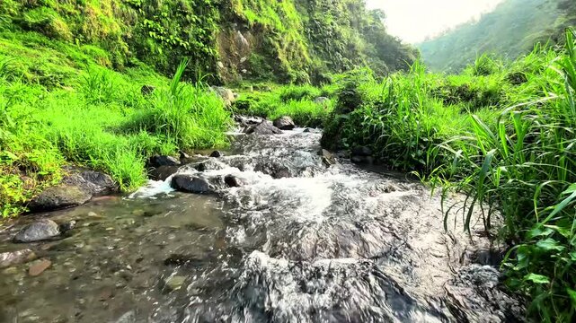 Serene Mountain Stream: A close-up perspective of a crystal-clear mountain stream flows rapidly through a lush valley, surrounded by vibrant green foliage and rugged rock formations.