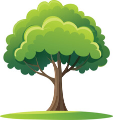 tree with green leaves