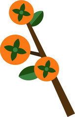 가을 단감 나무 일러스트 이미지 아이콘