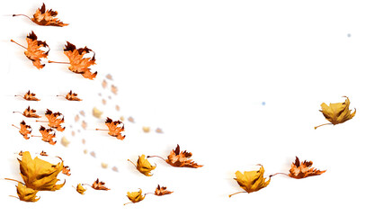 leaves yellow leaving travelling isolated for background