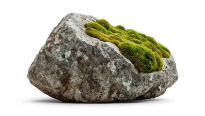 A weathered gray stone, adorned with a cluster of vibrant green moss, stands out against a plain white background.