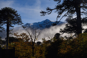 Fototapeta premium Volcanes en el sur de Chile
