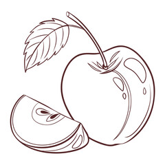 A simple line drawing of a whole apple with a leaf and stem next to a slice of apple revealing its seeds and core isolated on a white background