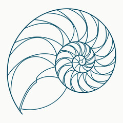Obraz premium Elegant teal line art illustration of a nautilus shell s logarithmic spiral pattern on a clean white background showcasing natural geometry and symmetry