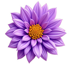 Fototapeta premium flower designs and tamplate decoration designs suitable for use as birthday decorations with very beautiful colors 3D 