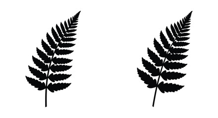 Simple black and white illustration of two fern fronds facing inward