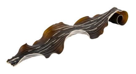 Brown seaweed isolated on transparent background, showcasing its natural texture, organic form, and potential use in culinary or marinethemed designs