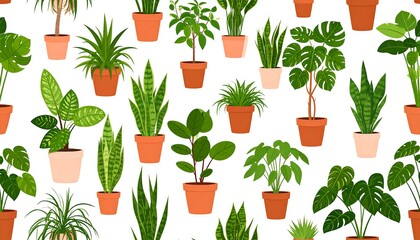 Various potted plants on white background for design.