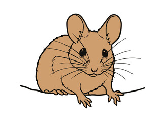 cute mouse on white background. animal cartoon vector illustration
