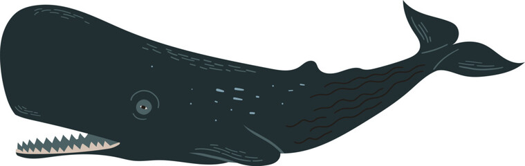 A dark grey sperm whale with an open mouth and sharp teeth © apiwara