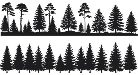 Silhouette of coniferous trees against a bright white background © mst