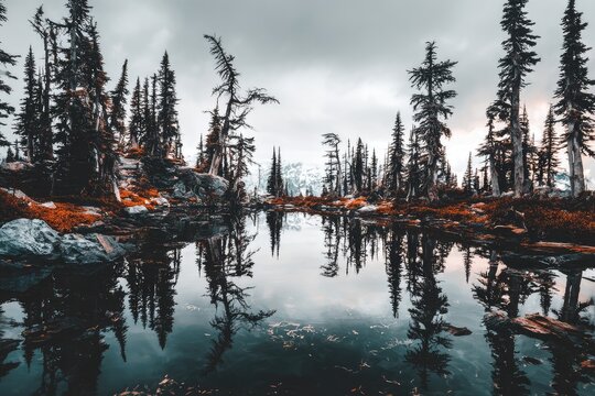 Misty mountain lake, reflected trees - Powered by Adobe