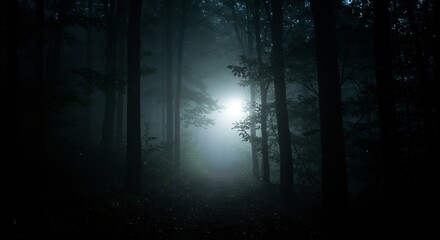 Fototapeta premium Dark forest path with tall trees and a bright light at the end of the misty trail