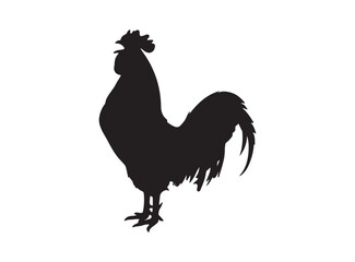 Rooster black silhouette icon. Male cock side view. Poultry cock. Vector isolated graphic illustration on white background 