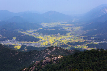 Fototapeta premium Blooming Seasonal Flowers In Soft Natural Light
