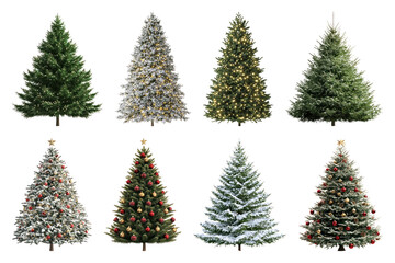 Obraz premium PNG Diverse festive Christmas trees, element set on transparent background