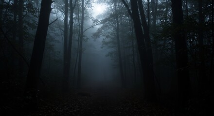 Naklejka premium Fogshrouded forest path dark trees frame a misty clearing